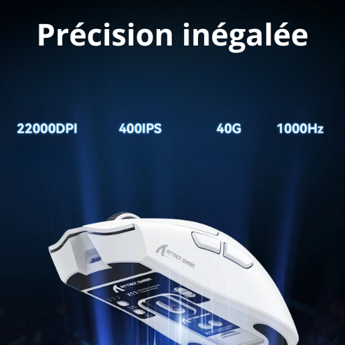 souris bluetooth carrousel
