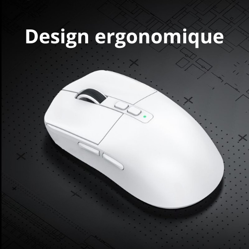 souris bluetooth carrousel
