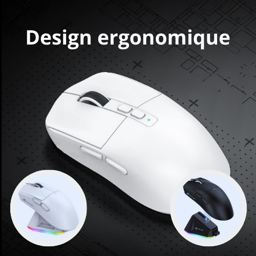 souris bluetooth ergonomique