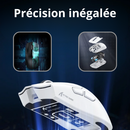 souris bluetooth precision inegalee