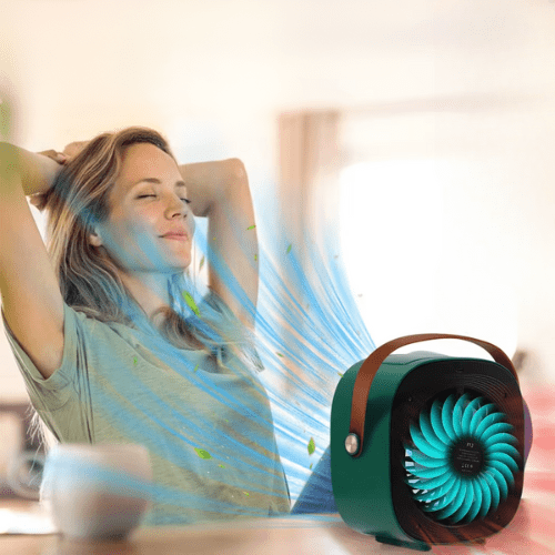 ventilateur silencieux carrousel
