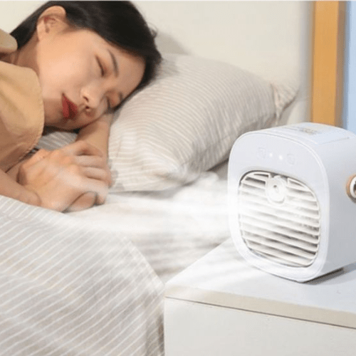 ventilateur silencieux carrousel