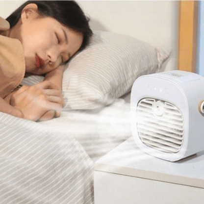ventilateur silencieux carrousel